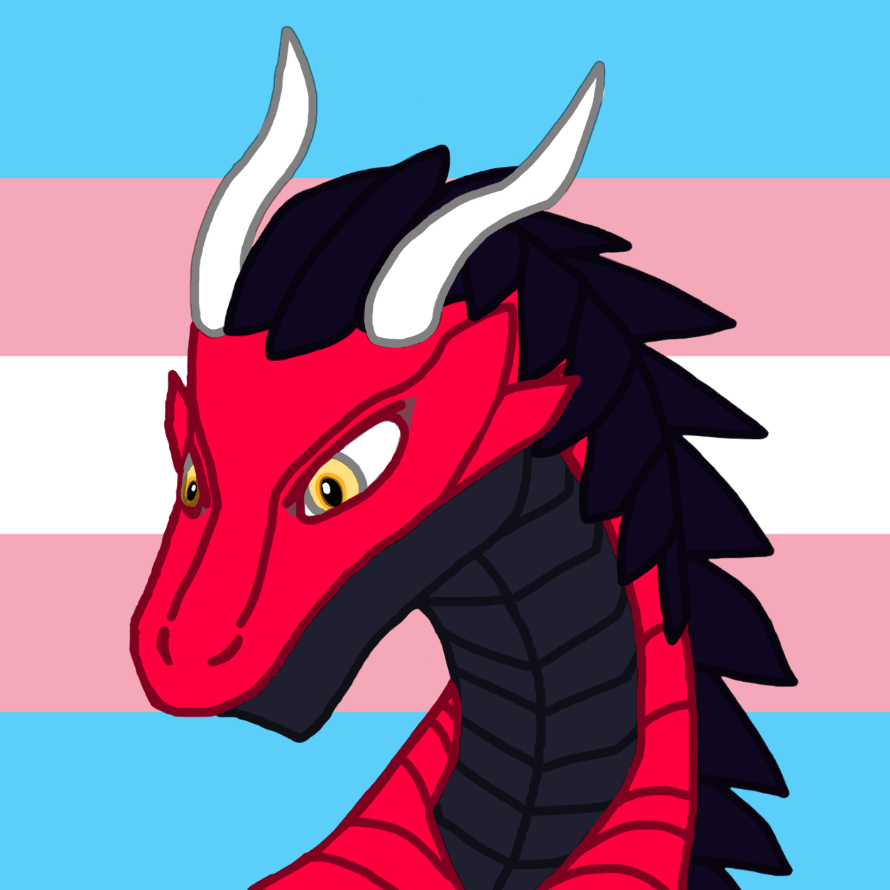 Seidragon profile pic